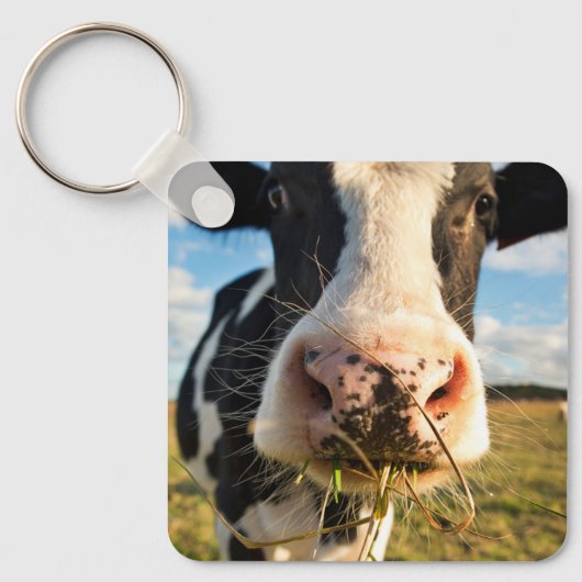 Farms | Holstein Cow Chewing Sleutelhanger (Voorkant)