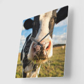 Farms | Holstein Cow Chewing Vierkante Klok (Hoek)