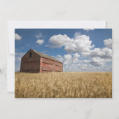 Farms | Old Red Barn in Wheat Field Bedankkaart (Voorkant)
