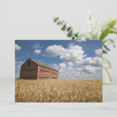 Farms | Old Red Barn in Wheat Field Bedankkaart (Staand voorkant)