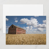 Farms | Old Red Barn in Wheat Field Bedankkaart (Voorkant / Achterkant)