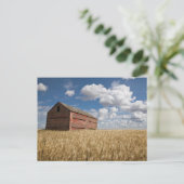 Farms | Old Red Barn in Wheat Field Briefkaart (Staand voorkant)