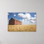 Farms | Old Red Barn in Wheat Field Canvas Afdruk (Voorkant)