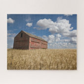 Farms | Old Red Barn in Wheat Field Legpuzzel (Horizontaal)