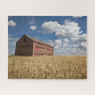 Farms Old Red Barn in Wheat Field Legpuzzel