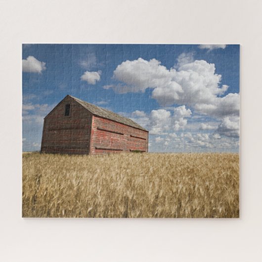 Farms | Old Red Barn in Wheat Field Legpuzzel (Horizontaal)