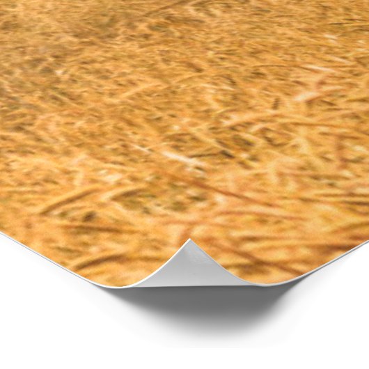 Farms | Old Red Barn Poster (Hoek)