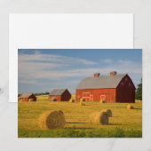 Farms Red Barns Near Hay Bales Bedankkaart (Voorkant / Achterkant)