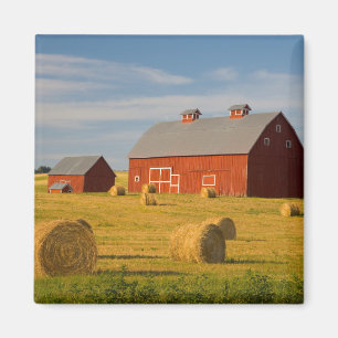 Farms Red Barns Near Hay Bales Magneet
