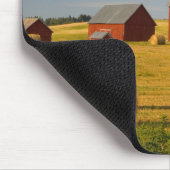 Farms Red Barns Near Hay Bales Muismat (Hoek)