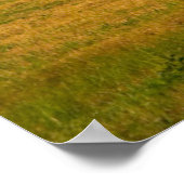 Farms Red Barns Near Hay Bales Poster (Hoek)