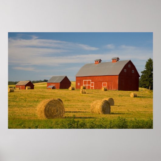 Farms Red Barns Near Hay Bales Poster (Voorkant)