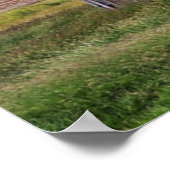 Farms Rustic Red Barn With American Flag Poster (Hoek)