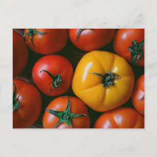 Farms Shiny Red & Yellow Tomatoes Briefkaart
