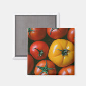 Farms Shiny Red & Yellow Tomatoes Magneet (Voorkant / Achterkant)