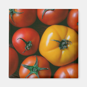 Farms Shiny Red & Yellow Tomatoes Magneet