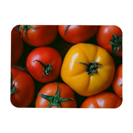 Farms Shiny Red & Yellow Tomatoes Magneet (Horizontaal)
