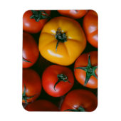 Farms Shiny Red & Yellow Tomatoes Magneet (Verticaal)