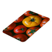 Farms Shiny Red & Yellow Tomatoes Magneet (Linkerzijde)