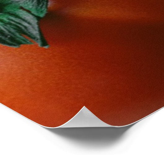 Farms Shiny Red & Yellow Tomatoes Poster (Hoek)