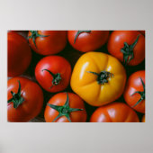 Farms Shiny Red & Yellow Tomatoes Poster (Voorkant)