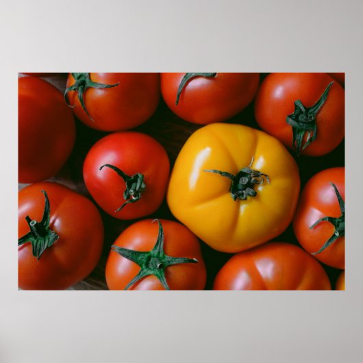 Farms Shiny Red & Yellow Tomatoes Poster (Voorkant)
