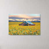 Farms | Sunflower Field Canvas Afdruk (Voorkant)