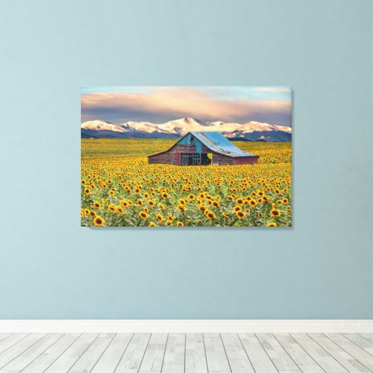 Farms | Sunflower Field Canvas Afdruk (Insitu (Houten vloer))