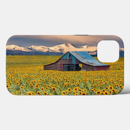 Farms | Sunflower Field Case-Mate iPhone Case (Achterkant (horizontaal))