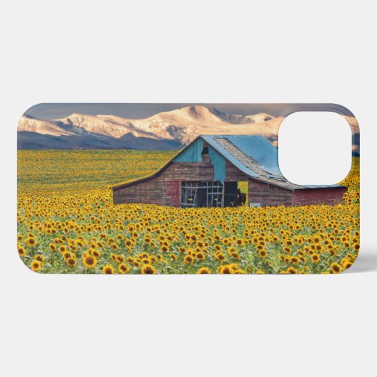 Farms | Sunflower Field iPhone Hoesje (Achterkant horizontaal)