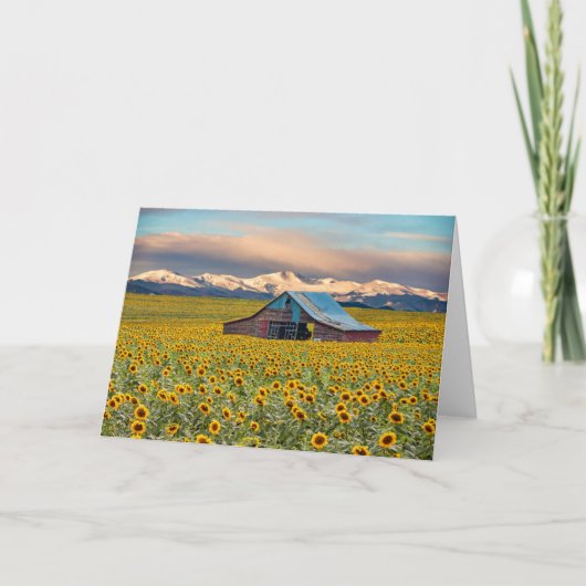 Farms | Sunflower Field Kaart (Voorkant)