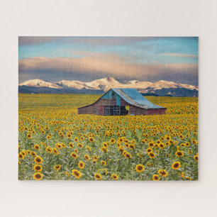 Farms   Sunflower Field Legpuzzel