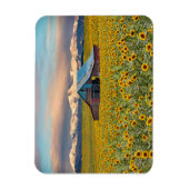 Farms | Sunflower Field Magneet (Verticaal)