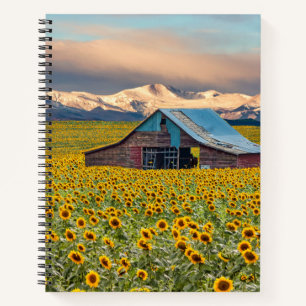 Farms Sunflower Field Notitieboek