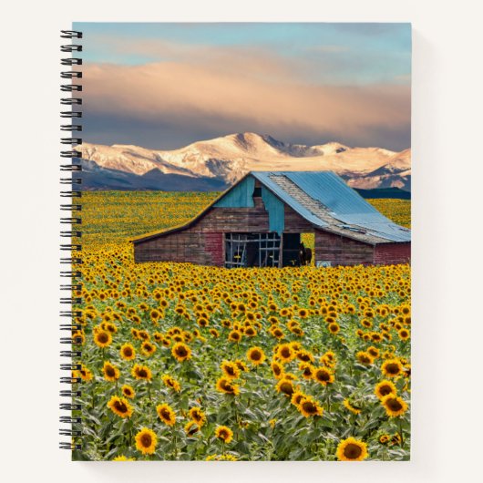 Farms | Sunflower Field Notitieboek (Voorkant)