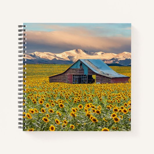 Farms | Sunflower Field Notitieboek (Voorkant)