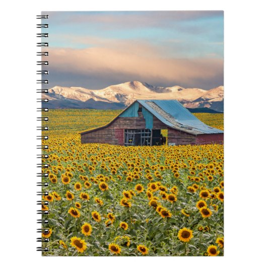 Farms | Sunflower Field Notitieboek (Voorkant)