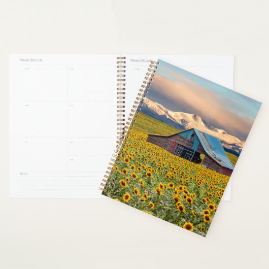Farms | Sunflower Field Planner (Display)