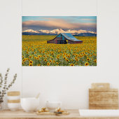 Farms | Sunflower Field Poster (Keuken)