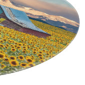 Farms | Sunflower Field Snijplank (Hoek)