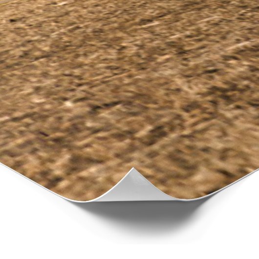 Farms White Barn & Silo Poster (Hoek)