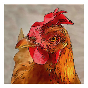 Farmyard Chicken Portrait Black Outline Art Perfect Poster