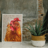 Farmyard Chicken Portrait Black Outline Art Poster