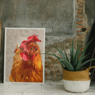 Farmyard Chicken Portrait Black Outline Art Poster