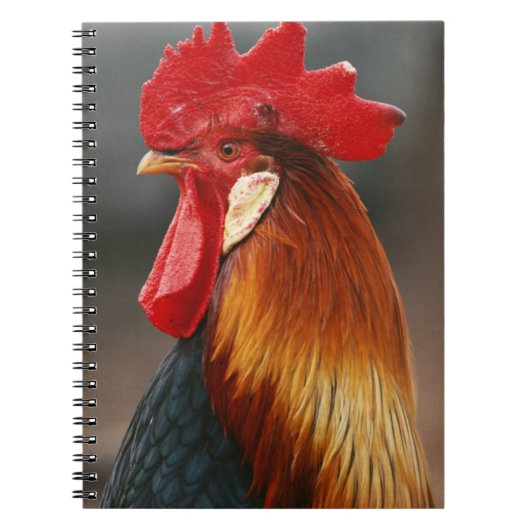 Farmyard Domestic Rooster Notitieboek (Voorkant)