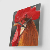 Farmyard Domestic Rooster Vierkante Klok (Hoek)