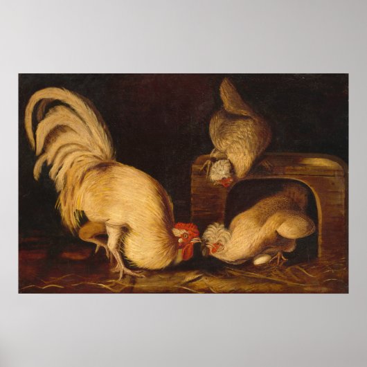 Farmyard Fowls, John James Audubon Fine Art Poster (Voorkant)