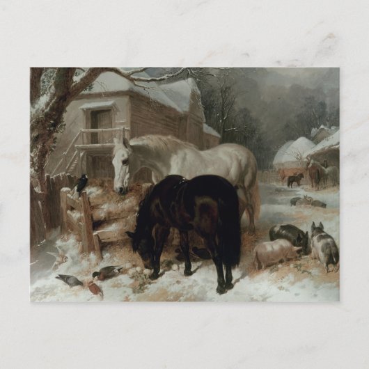 Farmyard Scene Briefkaart (Voorkant)