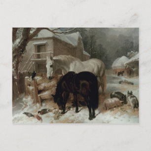 Farmyard Scene Briefkaart