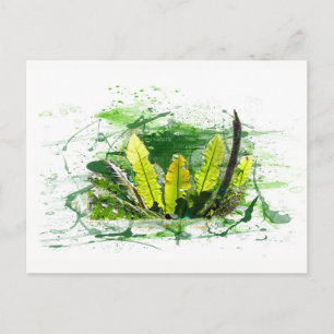 Farn, Blätter, Dschungel, Landschaft, Natur Briefkaart